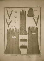 Glove Illustration