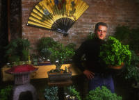 Bonsai Man / James Daily 