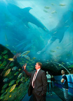 Aquarium / Atlanta