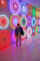 Albright Knox Museum